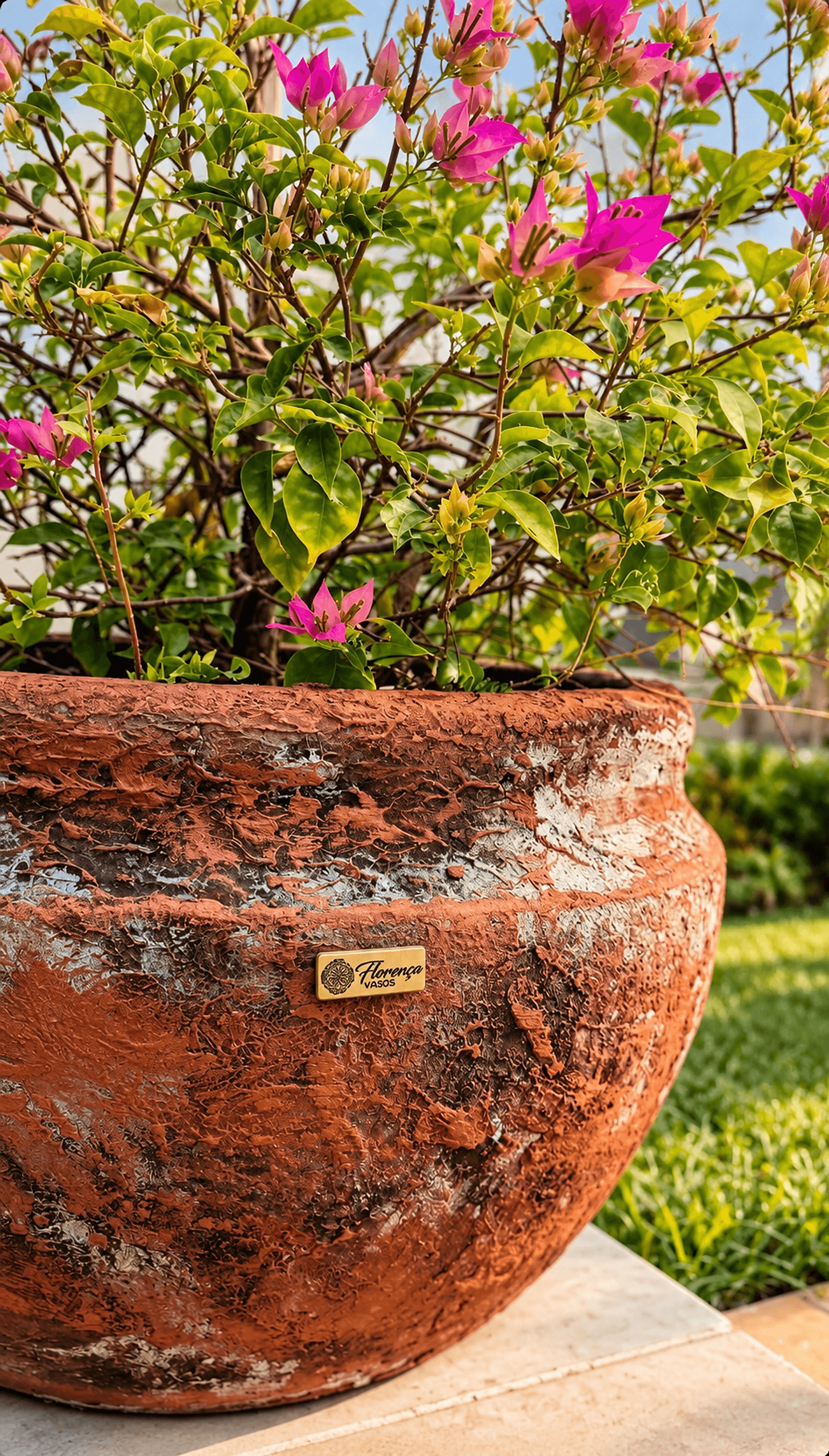 Urna Florença em terracota rústica com bougainvillea florida no jardim