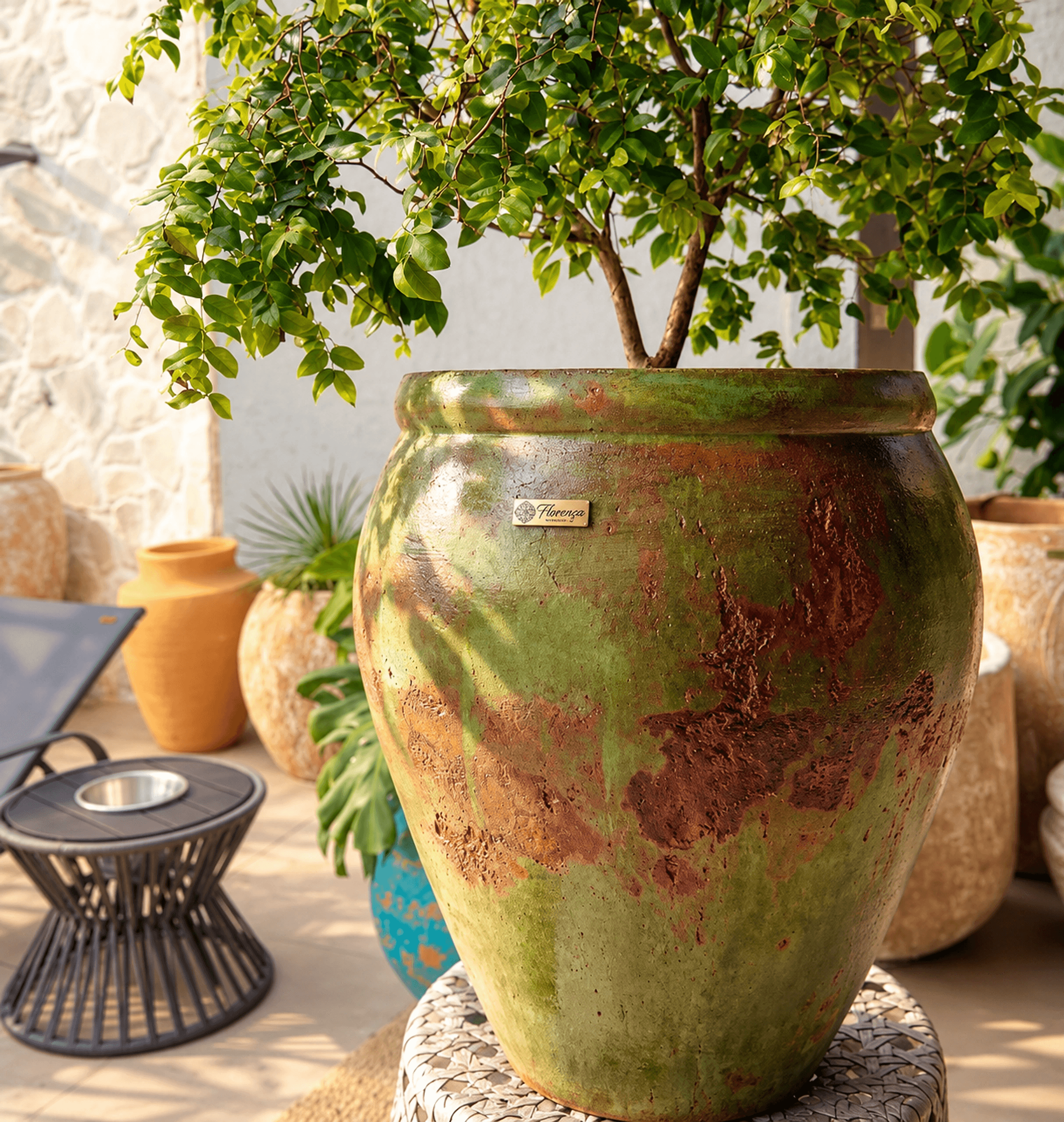 Vaso bojudo Florença em pátina verde e ferrugem com árvore, em pátio externo