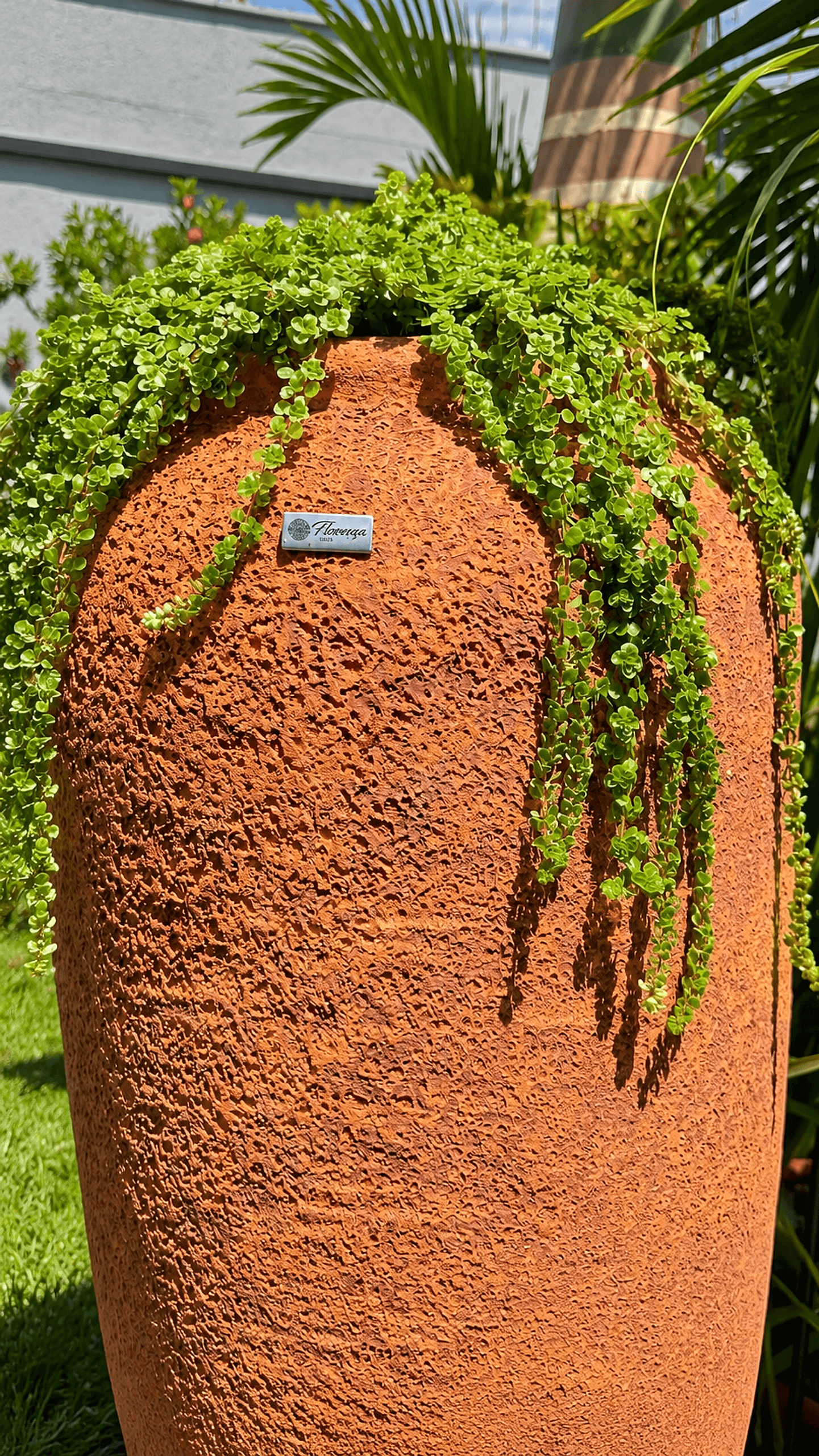 Vaso alto Florença em terracota com relevo esculpido e folhagem pendente